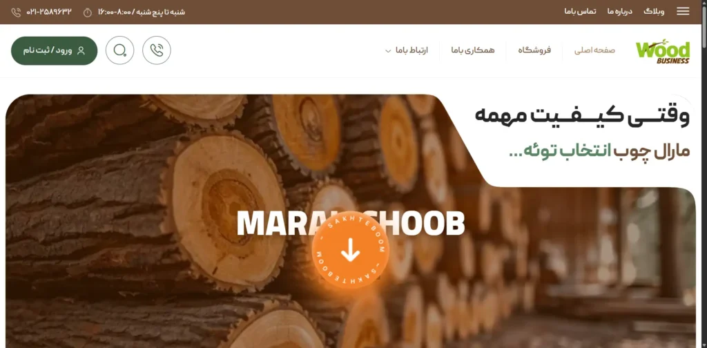 نمونه کارها