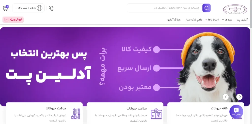 نمونه کارها