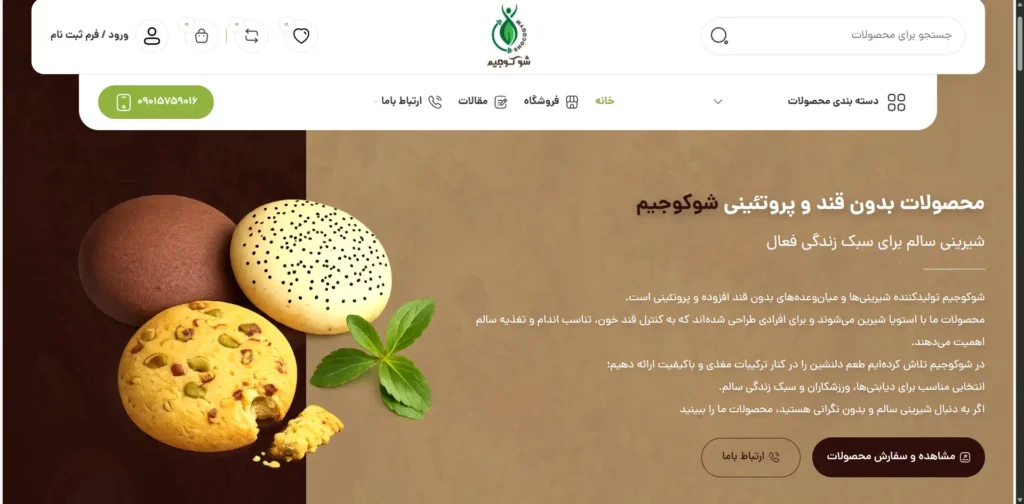 نمونه کارها